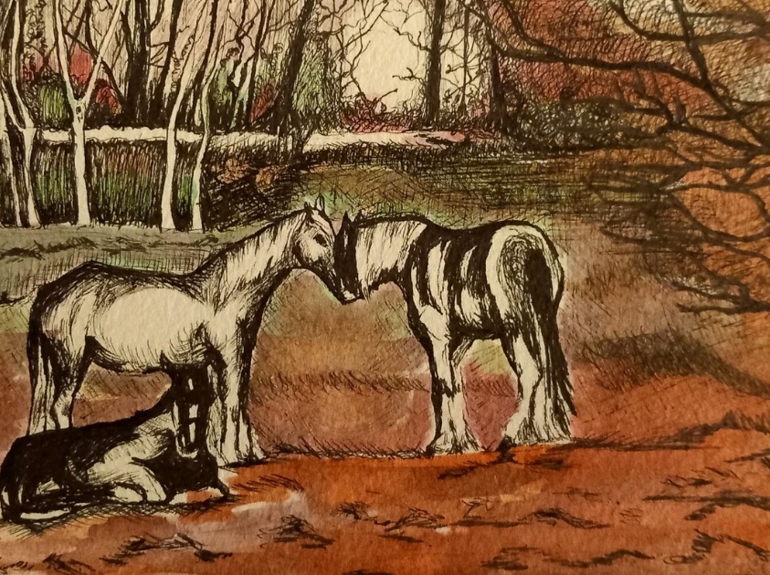Corner Field | Price: €100 Pen and Ink of Two Horses in a field