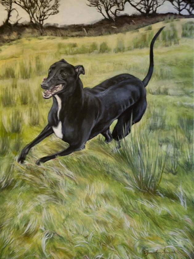Tess Oil Painting of Dog | Fine Art Mayo for Sale