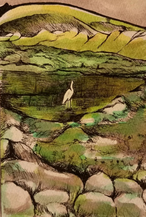Tobias in Carrowholly | €100 pen and ink drawing Irish Artist Mayo